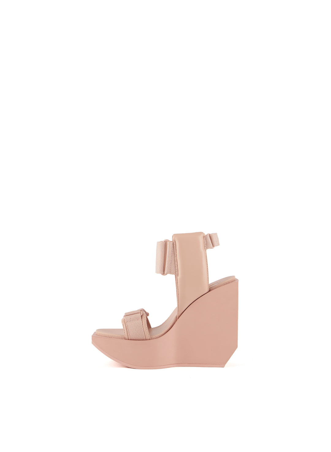 MUESTRA 38 | WA PUFFY HI CAMEO ROSE