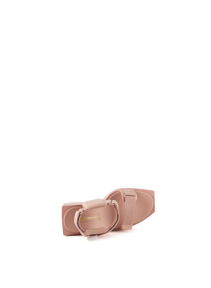 MUESTRA 38 | WA PUFFY HI CAMEO ROSE